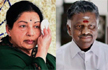 Panneerselvam will be the Successor of Jayalalitha; The Next Cm of Tamilnadu